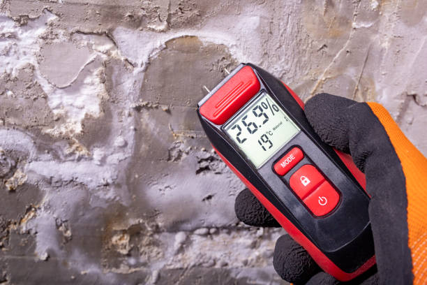 Best Mold Testing  in Beaver Creek, TX