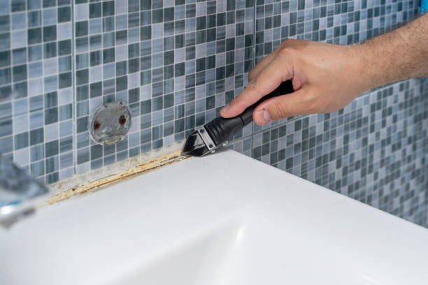 Reliable Beaver Creek, TX Mold Removal Solutions