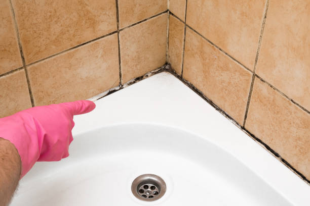Crawl Space Mold Removal in Beaver Creek, TX